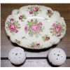 Image 2 : ROSE PATTERNED BONE CHINA SALT & PEPPER SHAKER