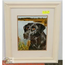 20" X 24" FRAMED BLACK LAB PICTURE