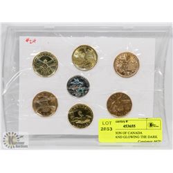 COLLECTION OF CANADA LOONIES AND GLOWING THE DARK