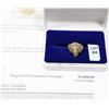 Image 1 : 10KT YELLOW GOLD MENS DIAMOND & RUBY RING