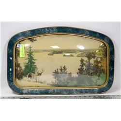 CONVEX ANTIQUE BUBBLE GLASS FRAMED PICTURE