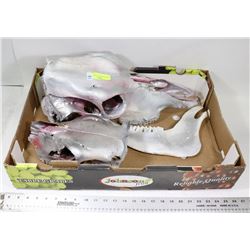 2 SKULL HEADS & 1 CHEEK BONE