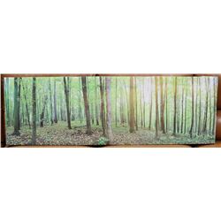 LARGE CANVAS WALL ART - FOREST