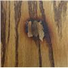 Image 2 : OAK TABLE & 4 CHAIRS 60 X 42