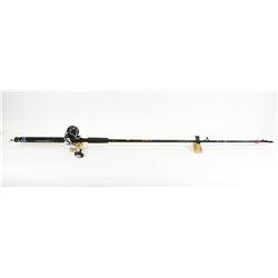 Fishing Rod & Reel