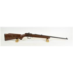 CIL 171 Rifle