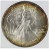 Image 1 : 1986 AMERICAN SILVER EAGLE