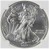 Image 1 : 2019 AMERICAN SILVER EAGLE