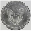 Image 2 : 2019 AMERICAN SILVER EAGLE