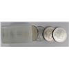 Image 2 : (20) PIECES AMERICAN SILVER EAGLES 2006