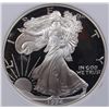 Image 2 : 1994-P AMERICAN SILVER EAGLE