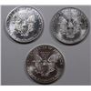 Image 2 : THREE GEM BU SILVER EAGLES