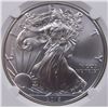 Image 2 : 2019 AMERICAN SILVER EAGLE