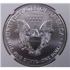Image 4 : 2019 AMERICAN SILVER EAGLE