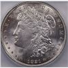 Image 2 : 1921  MORGAN DOLLAR