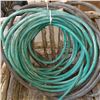 Image 2 : TWO GARDEN HOSES