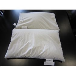 2 MEDIUM ORGANIC BUCK WHEAT PILLOWS - RETAIL $60EA