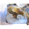 Image 2 : WINGED PROTECTORS CANYON GUARDIAN W/ SIGNED PAINTING ON SIDE BY TED BLAYLOCK EAGLE STATUE - NO CHIPS