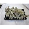 Image 1 : 2 PIECES OF CORAL