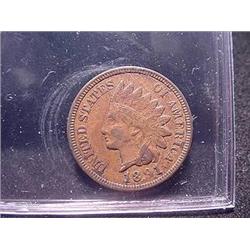 1891 Indian Head Cent  XF