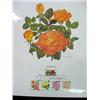 Image 1 : The Poetry of Roses First Day Cover Stamp Pane in