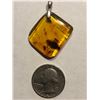 Image 1 : Huge Insect in this one Beautiful Amber Pendant Filled with Insects and Plants Total 4 Grams Sterlin