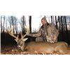 Image 2 : Five Star Ohio Whitetail Hunt for Two Hunters
