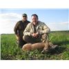Image 2 : 7-day Roe Deer Hunt in Serbia for either two hunters or one hunter and observer