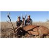 Image 1 : 5-day Red Stag Hunt in Argentina for 1-Hunter for 2020