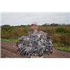 Image 5 : 4-day Dove Shooting in Santiago del Estero Province, Argentina for 5-hunters
