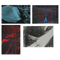 Colin Self, Power and Beauty Series of 4 Serigraphs