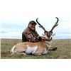 Image 8 : Alberta Trophy Pronghorn Hunt