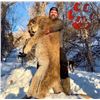 Image 8 : Utah Mountain Lion Hunt