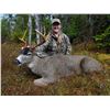 Image 2 : Alaska Sitka Blacktail Deer Hunt