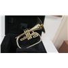 Image 2 : Dynasty? Instrument
