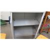 Image 3 : Metal Storage Cabinet (RM-123)