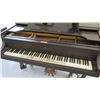 Image 2 : Steinway Piano (RM-Stdnt Center)