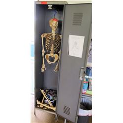 Model Human Skeleton and Metal Locker (RM-221)