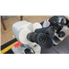 Image 8 : Qty 2 Flinn & Wolfe Stereo Microsccopes w/ Eyepieces (RM-122)