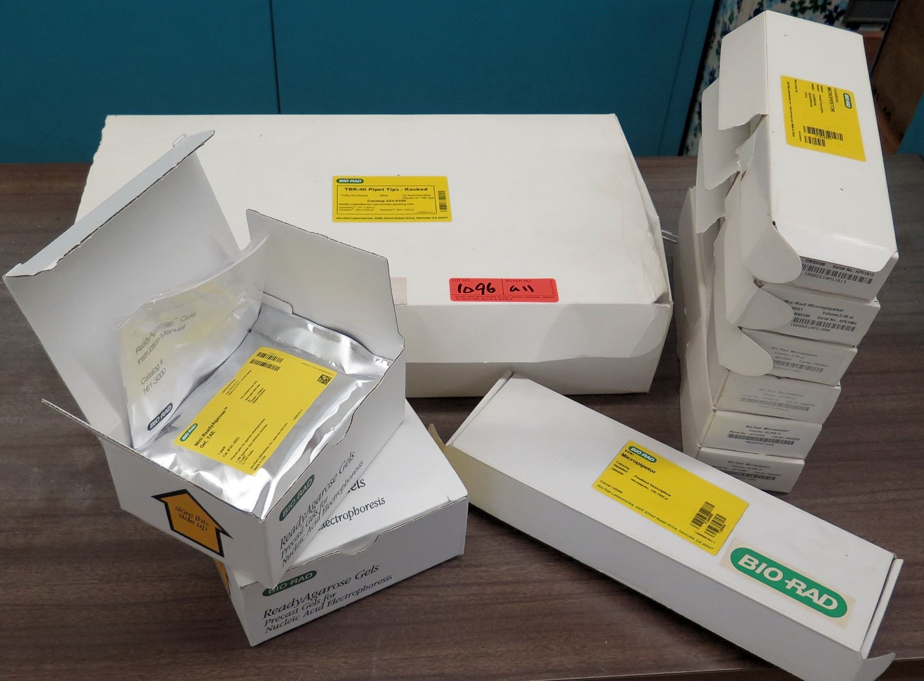 BIO RAD Micropipetors, Gel, Pipet Tips (RM-122) - Oahu Auctions