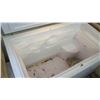 Image 2 : Large Freezer Chest (RM-306)