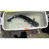Image 2 : Catfish (Black)