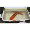 Image 2 : Koi Fish (Orange w/ White Fins)