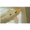 Image 8 : Koi Fish (Off White w/ 2 or 3 Black Spots)