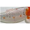 Image 8 : Koi Fish (White w/ Orange Head)
