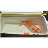 Image 2 : Koi Fish (Orange & White)