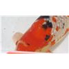 Image 11 : Koi Fish (Orange w/ White Markings & Black Spots)
