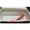 Image 2 : Koi Fish (Orange w/ White Markings & Black Spots)