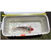 Image 2 : Koi Fish (White w/ Black Markings & Orange Head)