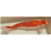 Image 1 : Koi Fish (White w/ Orange Back)